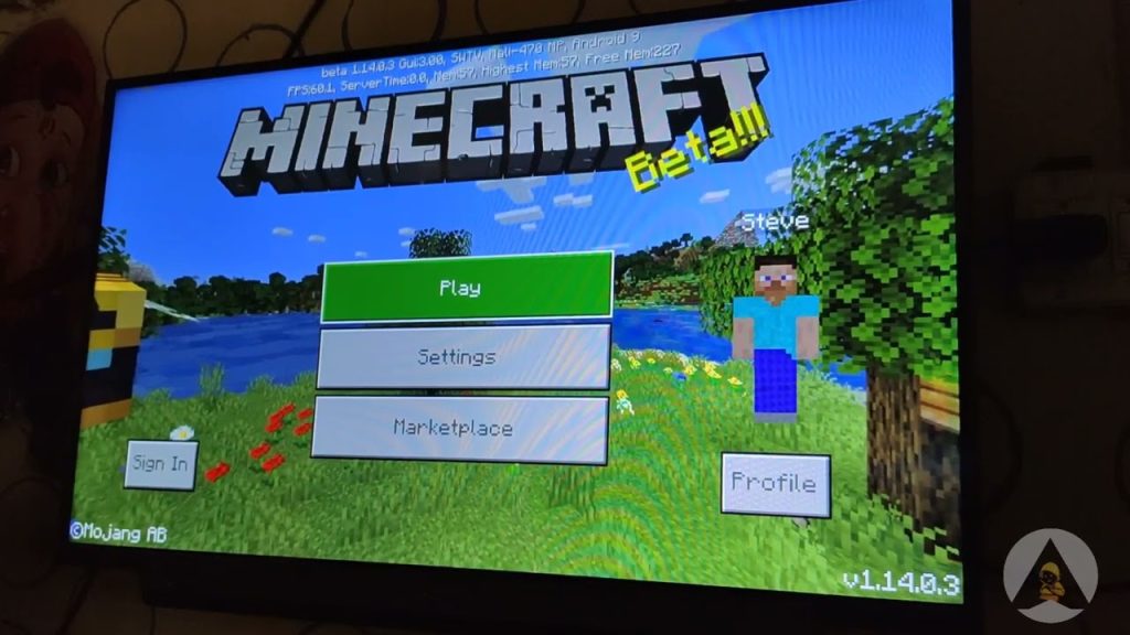 Minecraft